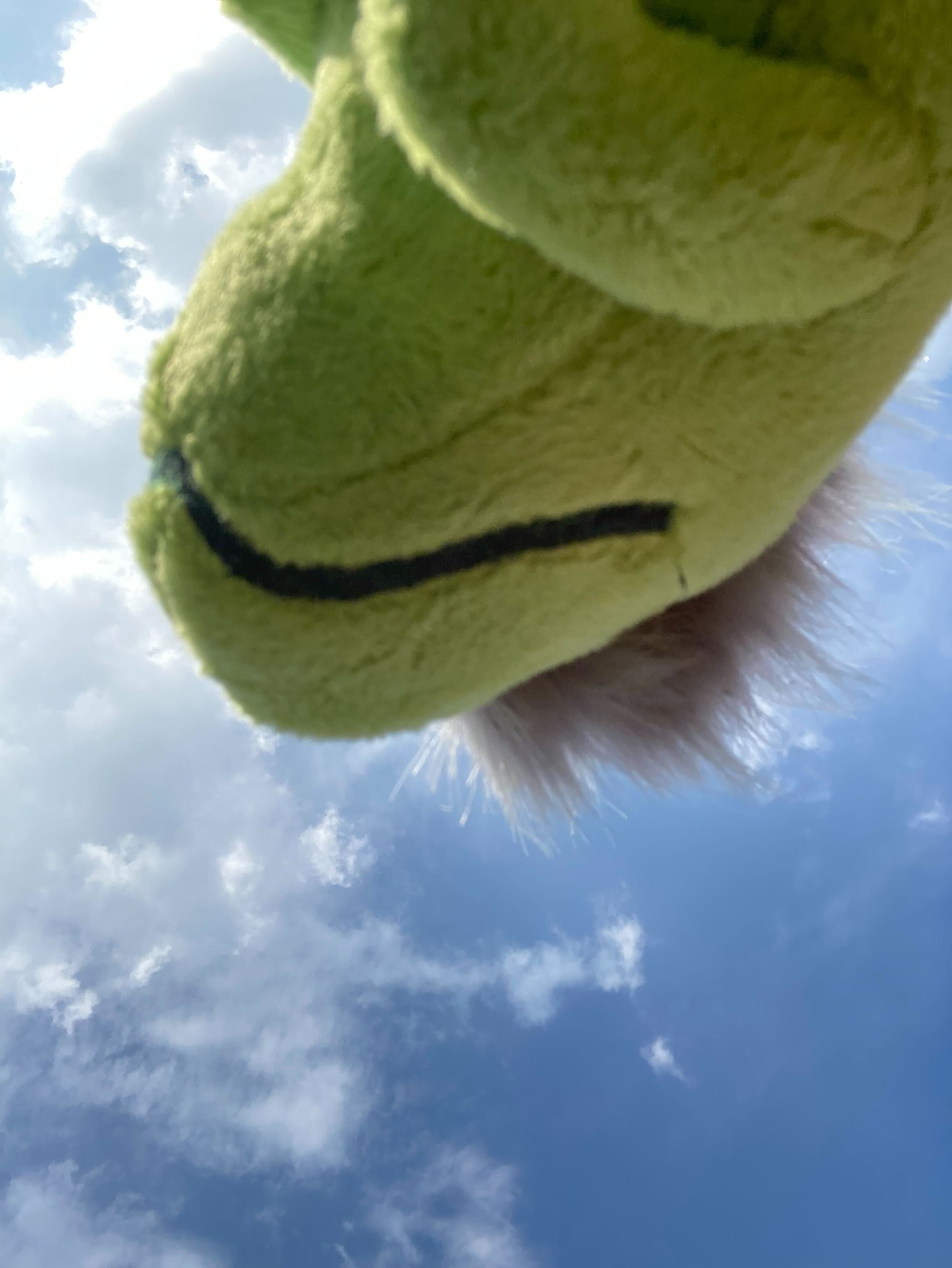 rexyreveal