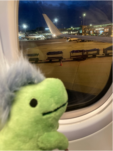rexy on a plane